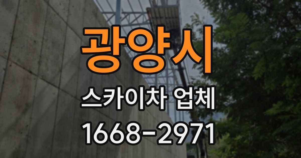 광양시 스카이차 업체