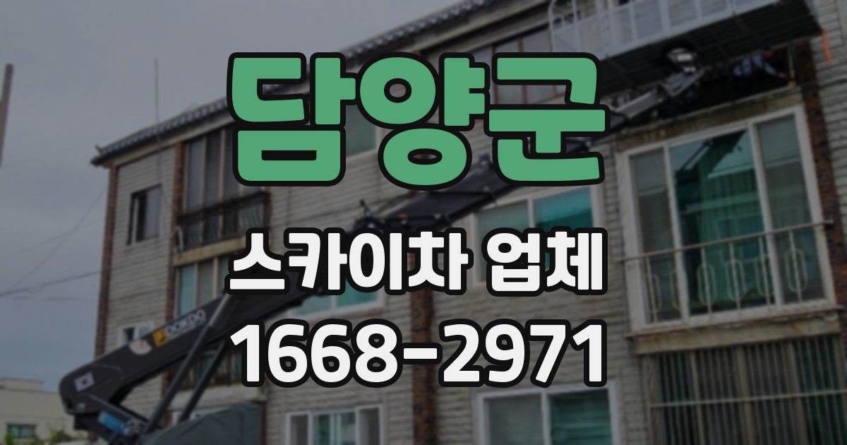 담양군 스카이차 업체