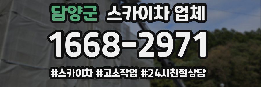 담양군 스카이차 업체