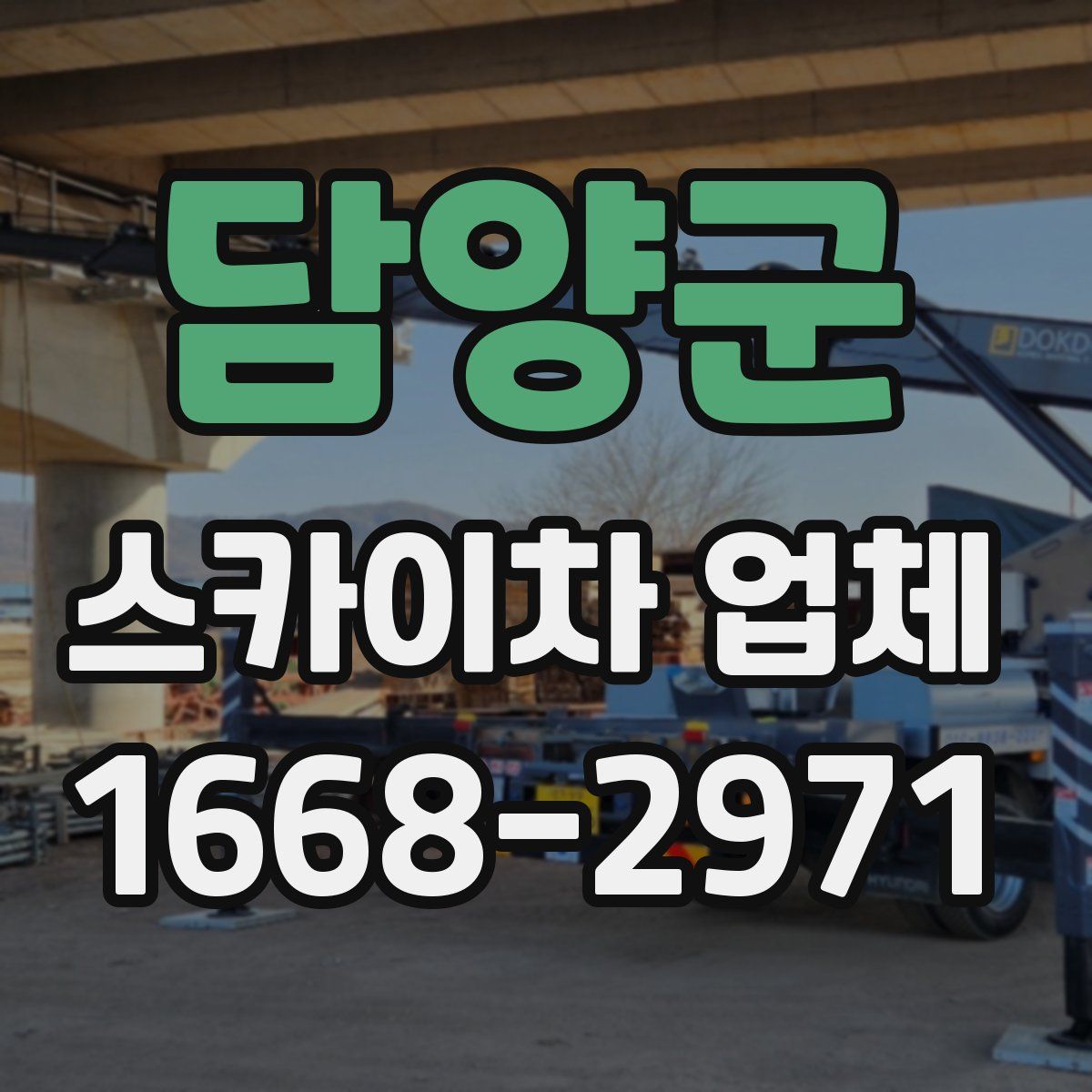 담양군 스카이차 업체