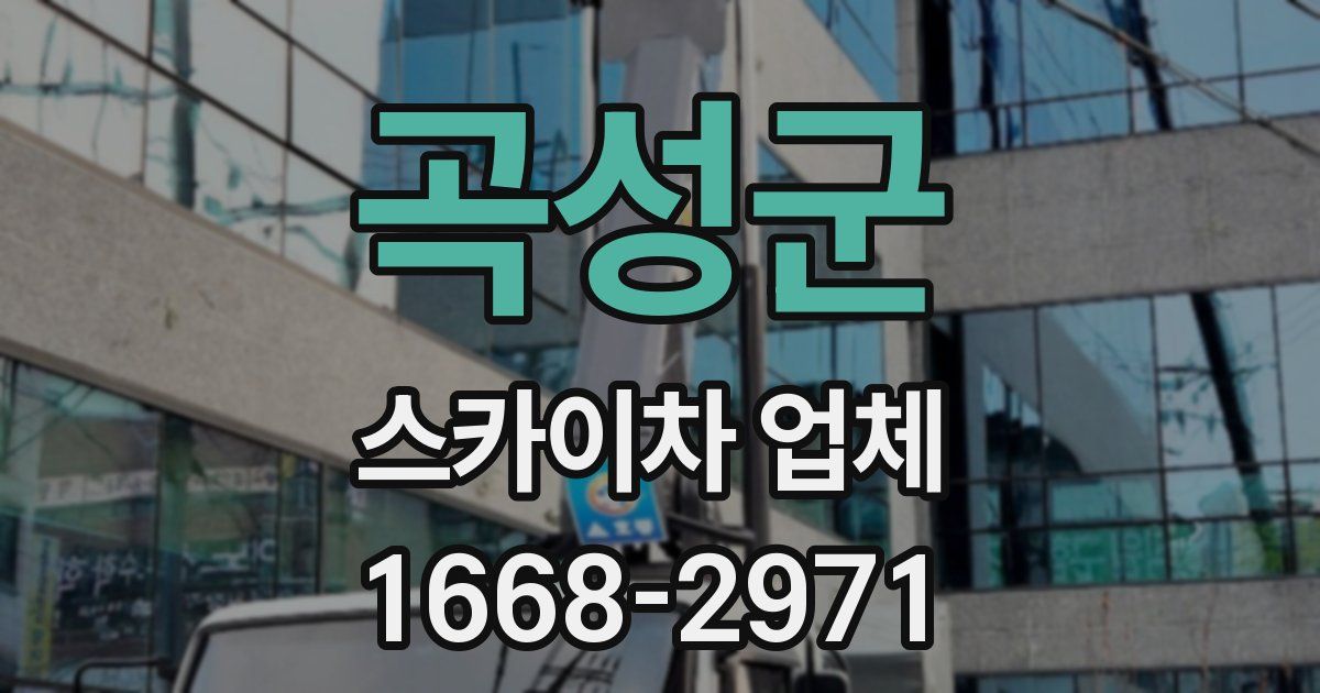 곡성군 스카이차 업체