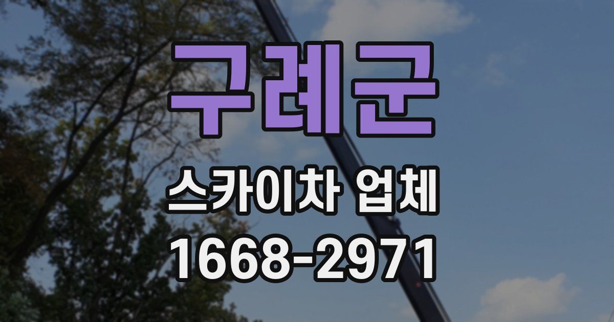 구례군 스카이차 업체