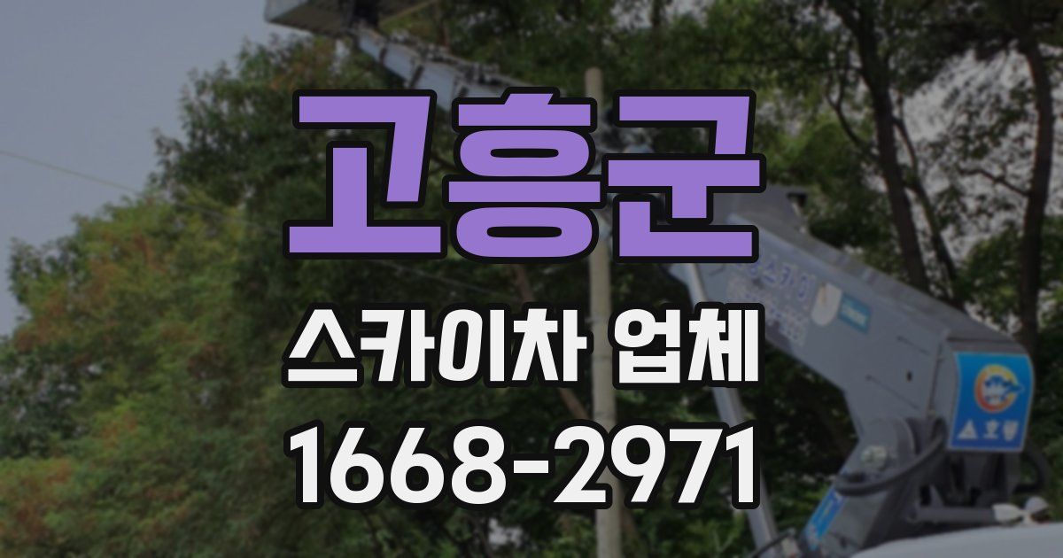 고흥군 스카이차 업체