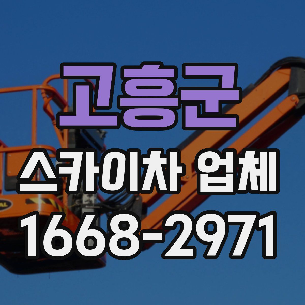고흥군 스카이차 업체
