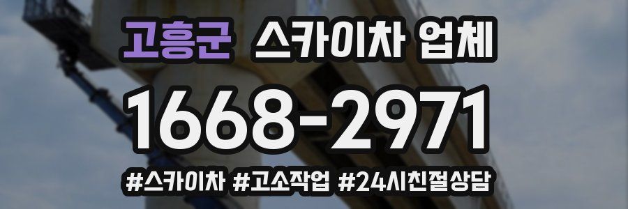 고흥군 스카이차 업체