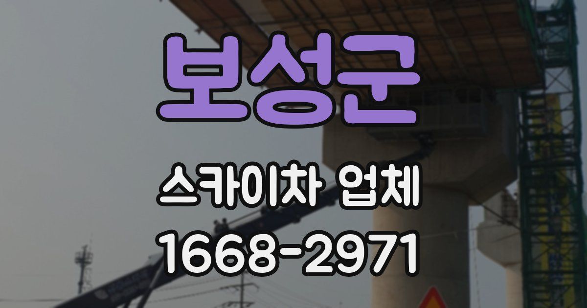 보성군 스카이차 업체
