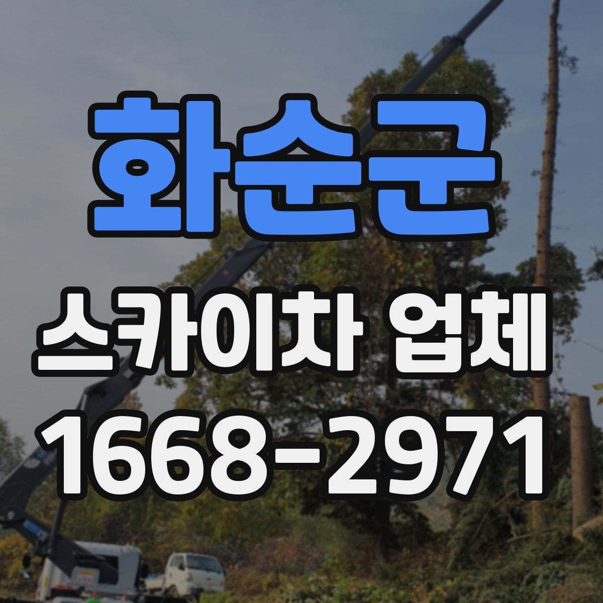 화순군 스카이차 업체
