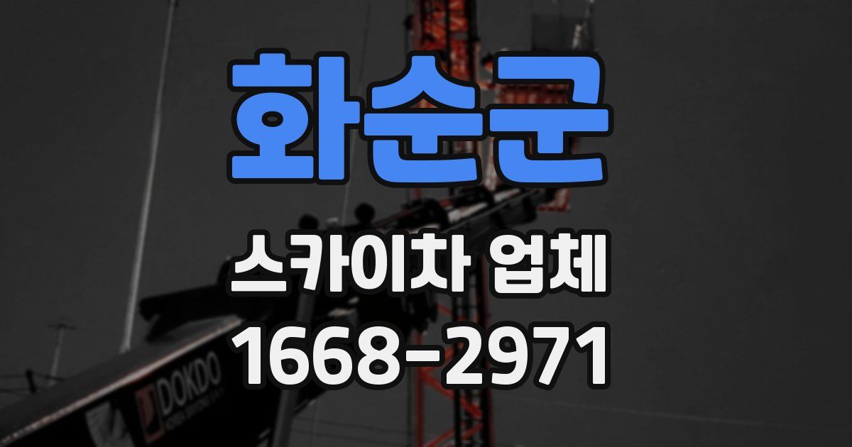 화순군 스카이차 업체