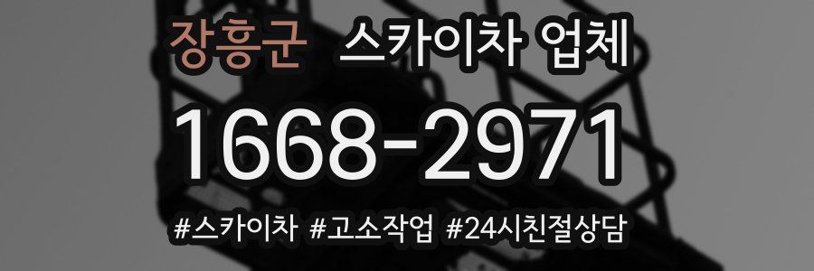 장흥군 스카이차 업체