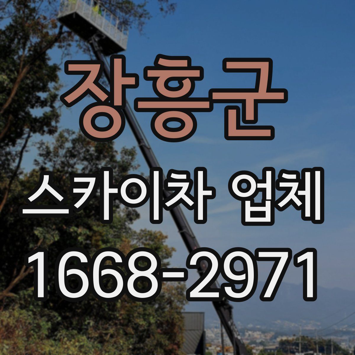 장흥군 스카이차 업체