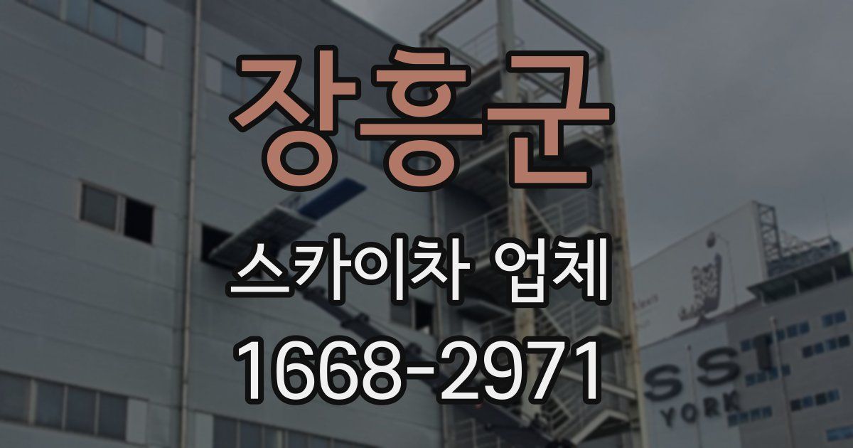 장흥군 스카이차 업체