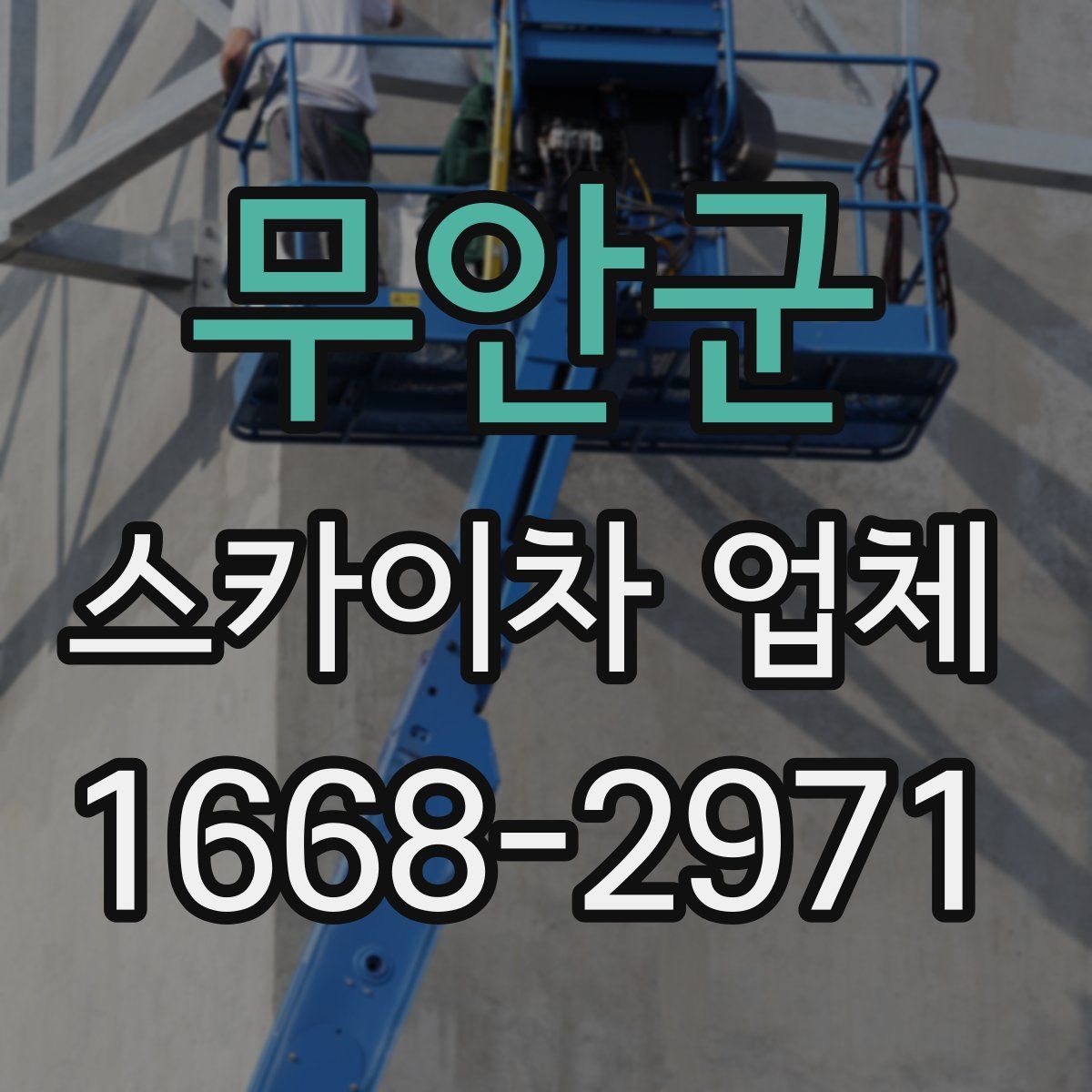 무안군 스카이차 업체