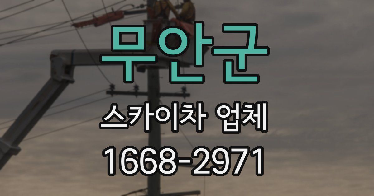무안군 스카이차 업체