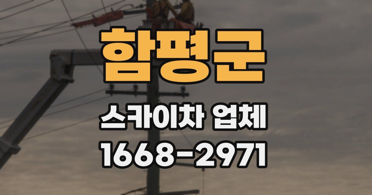 함평군 스카이차 업체