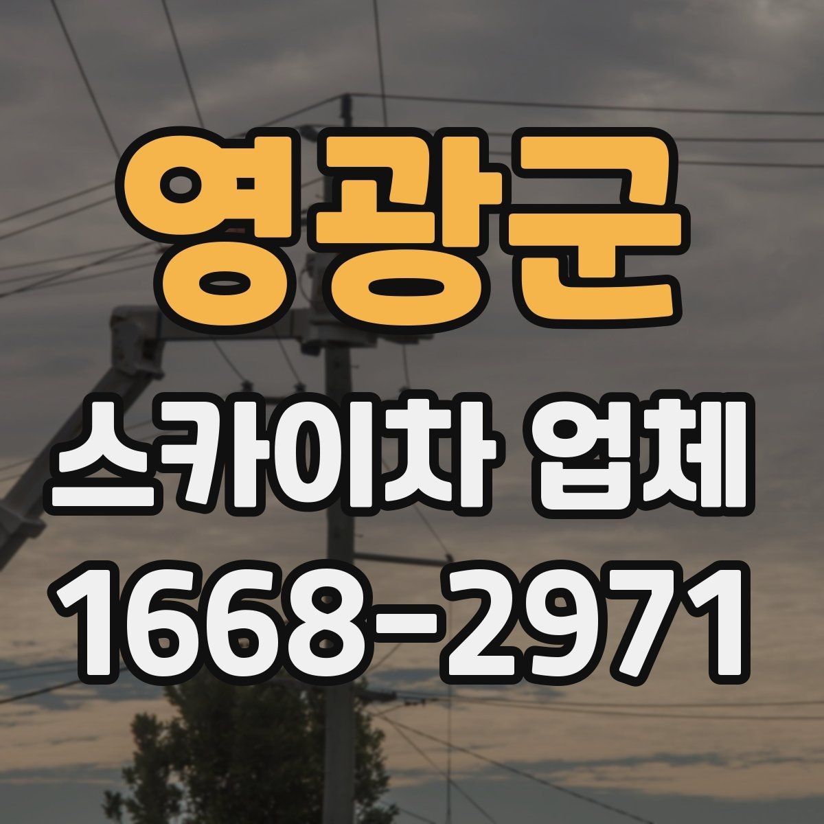 영광군 스카이차 업체 후기 볼 때 함께 봐야 할 것