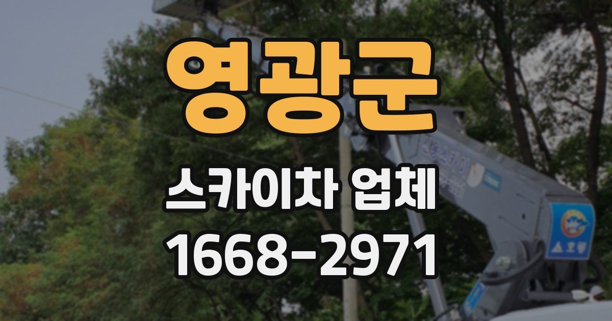 영광군 스카이차 업체