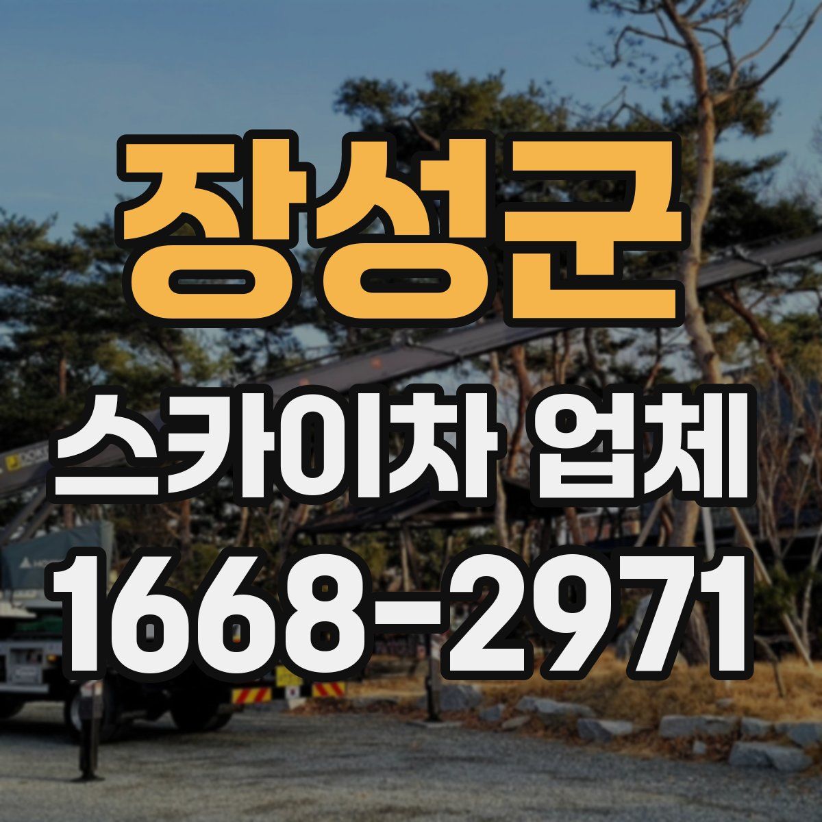 장성군 스카이차 업체