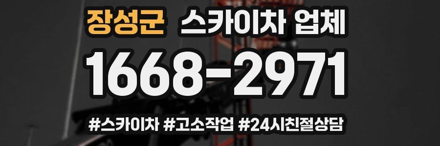 장성군 스카이차 업체