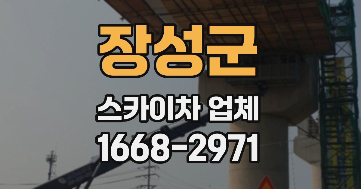 장성군 스카이차 업체