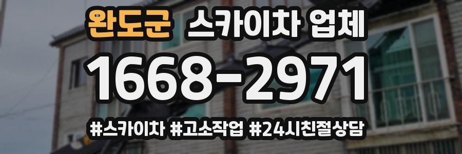 완도군 스카이차 업체
