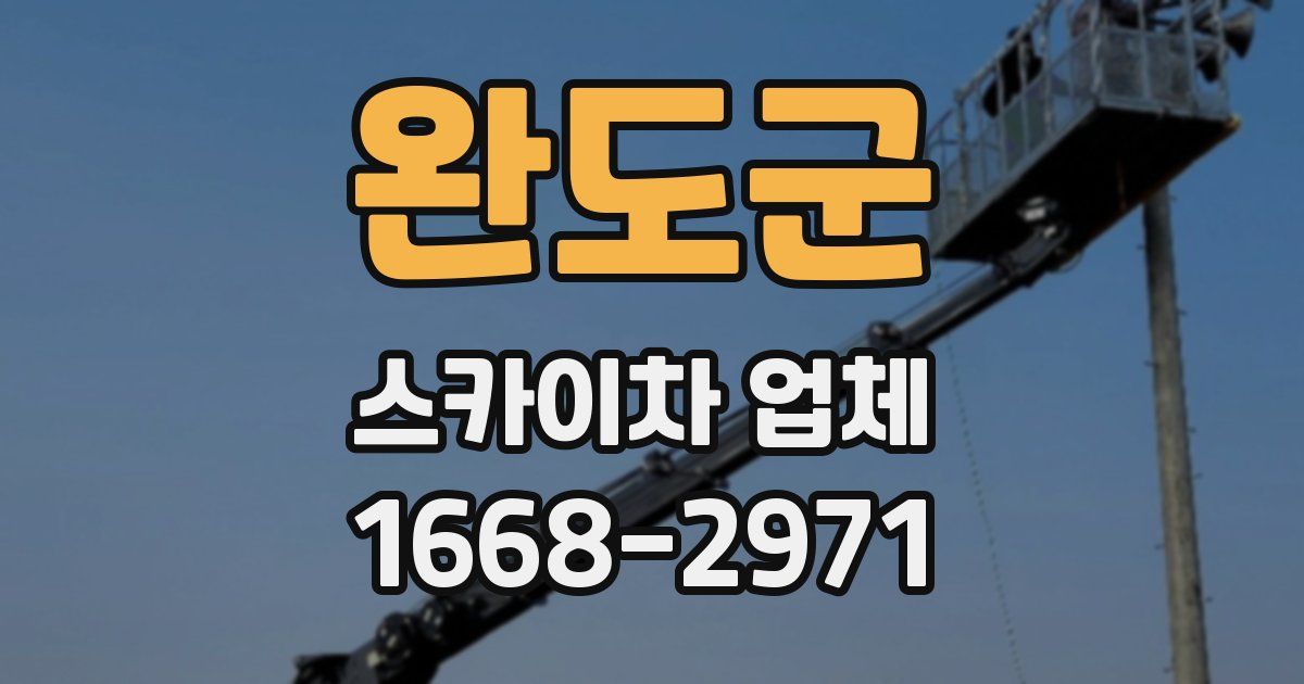 완도군 스카이차 업체