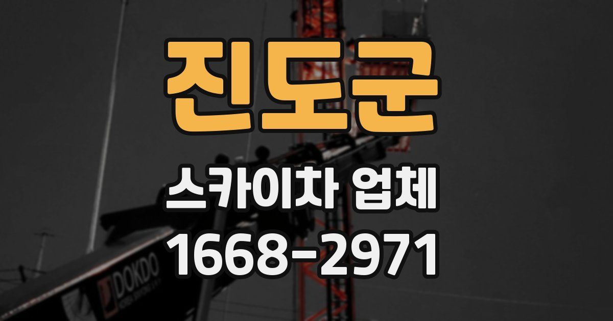 진도군 스카이차 업체