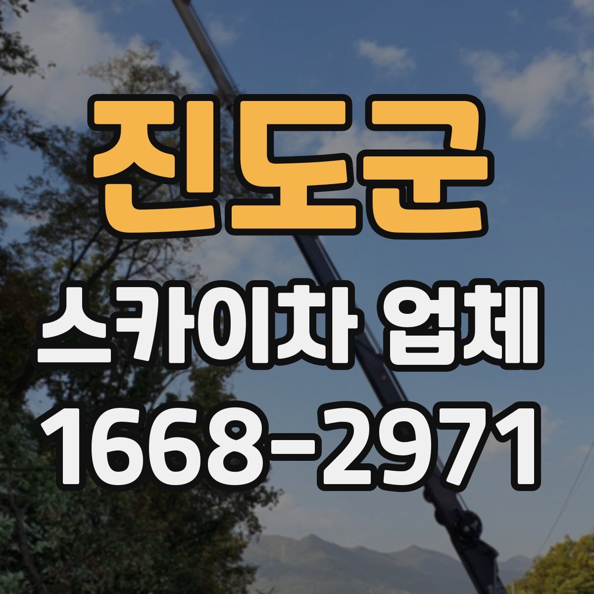 진도군 스카이차 업체