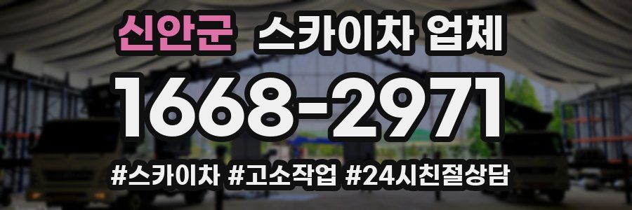 신안군 스카이차 업체