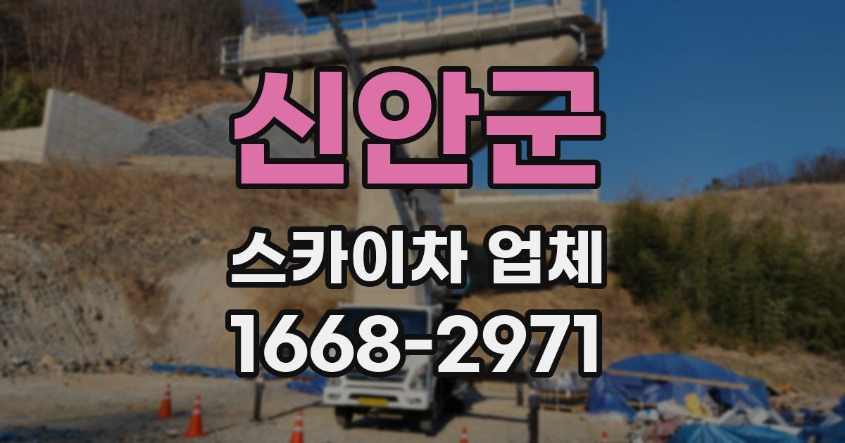 신안군 스카이차 업체
