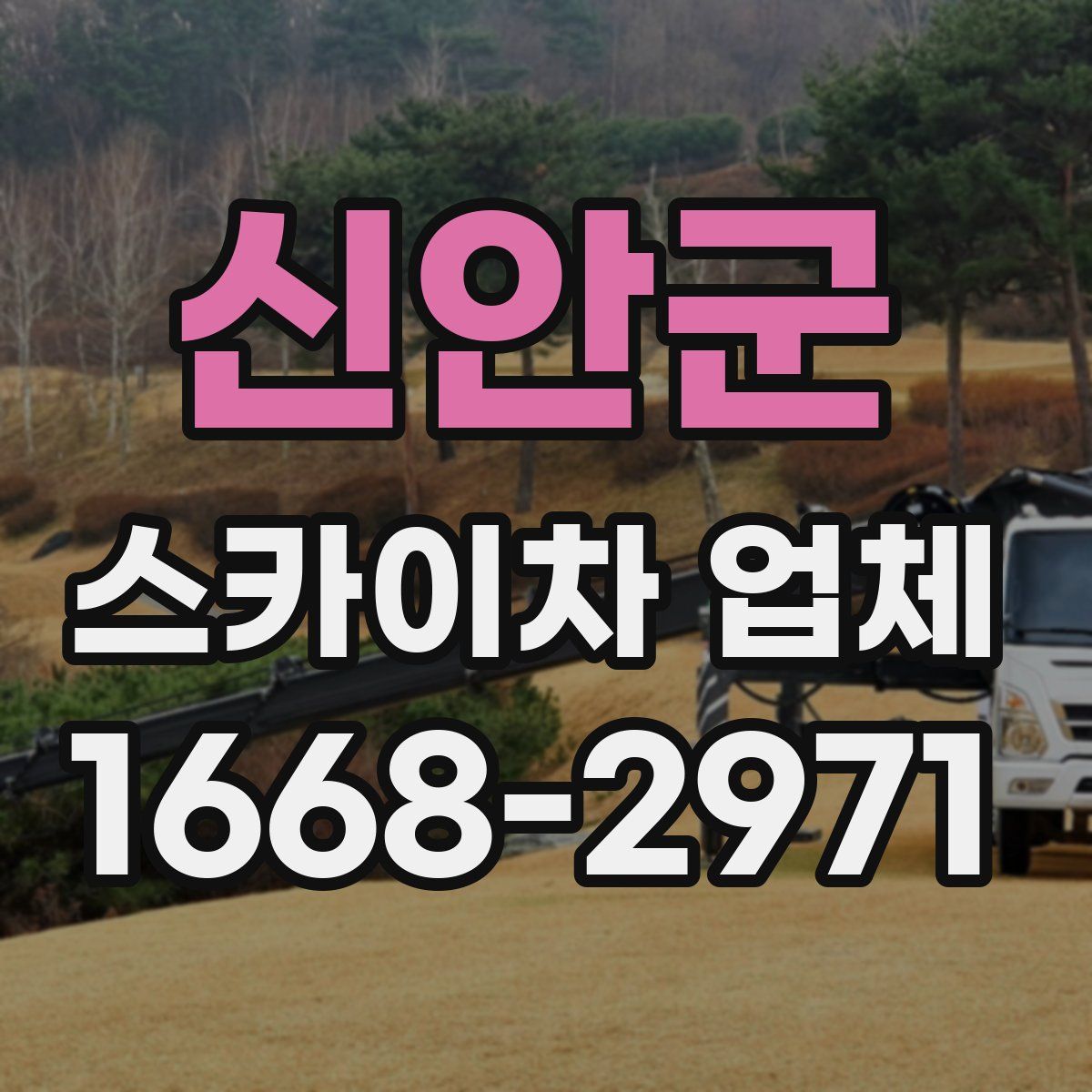 신안군 스카이차 업체
