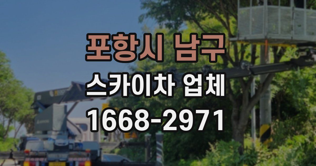 포항시 남구 스카이차 업체