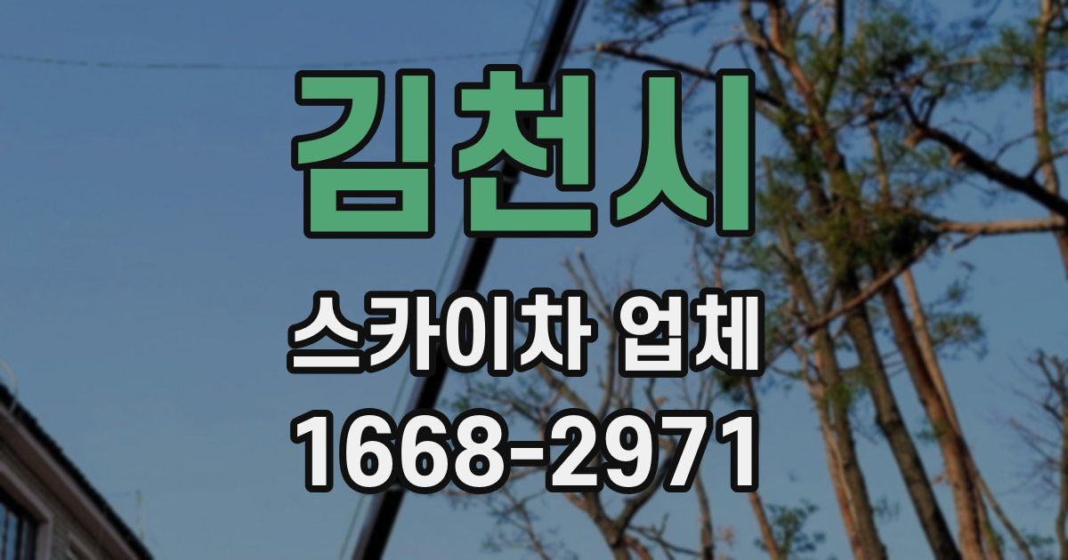 김천시 스카이차 업체