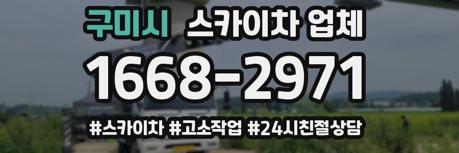 구미시 스카이차 업체