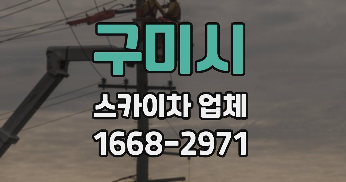 구미시 스카이차 업체
