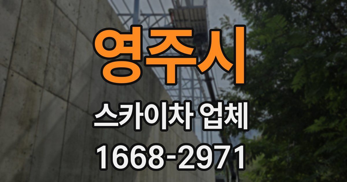 영주시 스카이차 업체