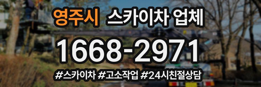 영주시 스카이차 업체