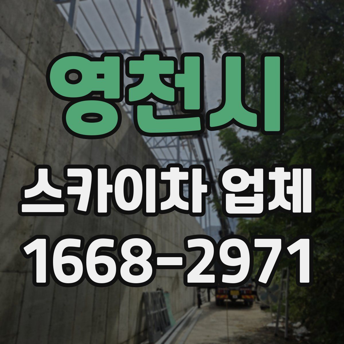 영천시 스카이차 업체