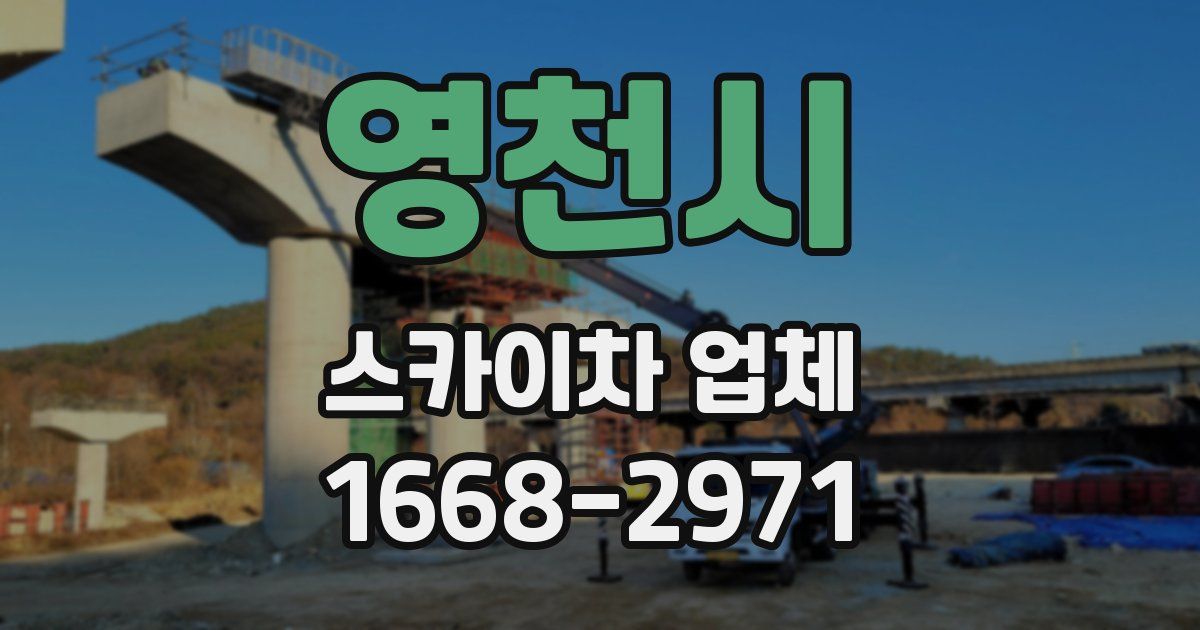 영천시 스카이차 업체