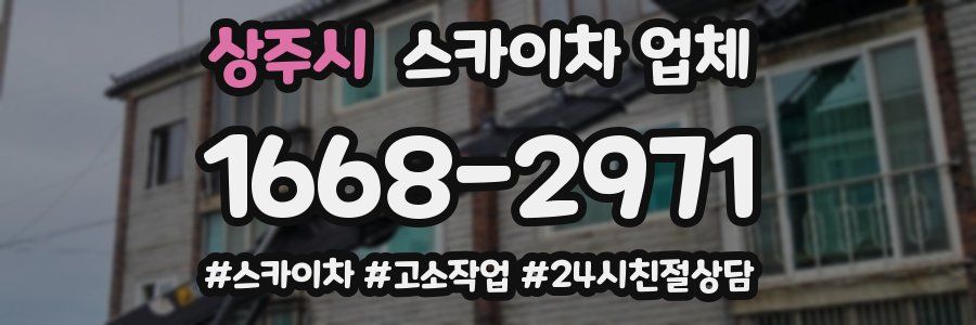 상주시 스카이차 업체