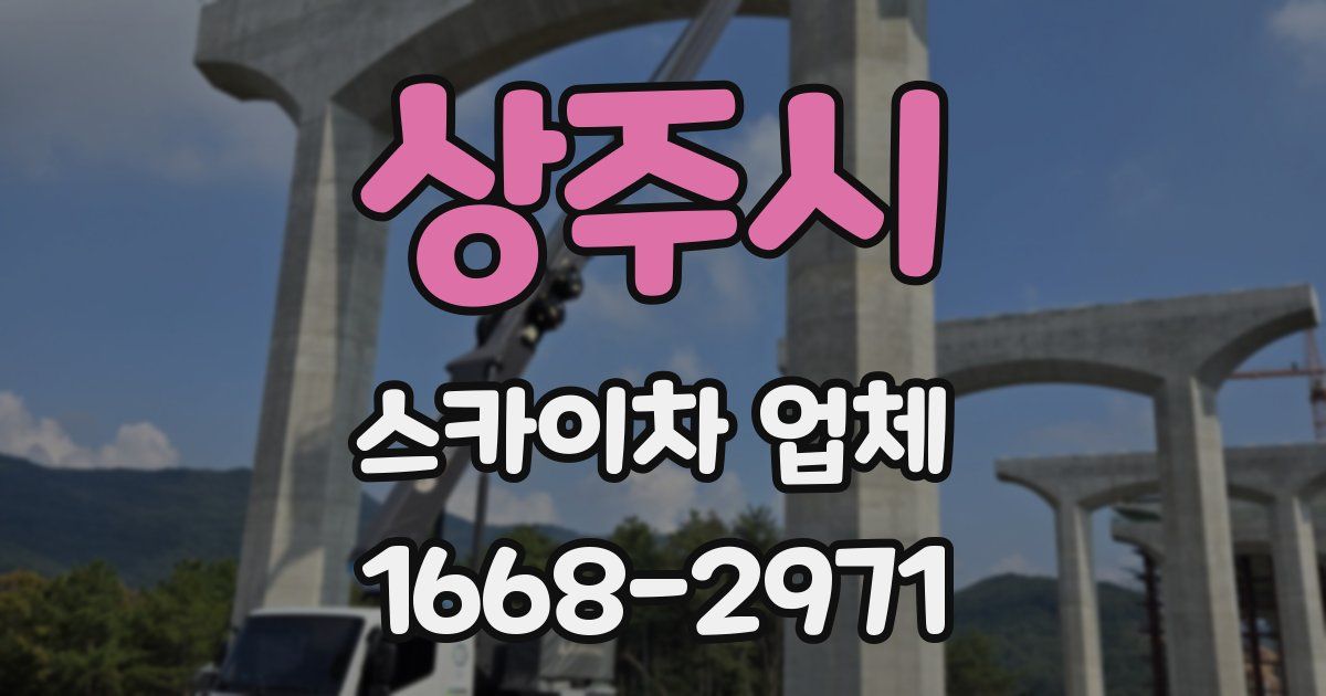 상주시 스카이차 업체