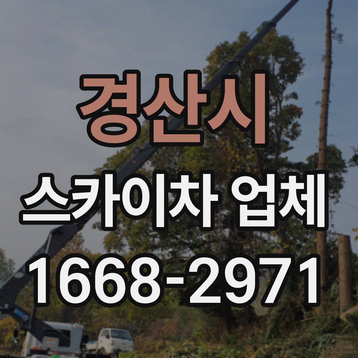 경산시 스카이차 업체