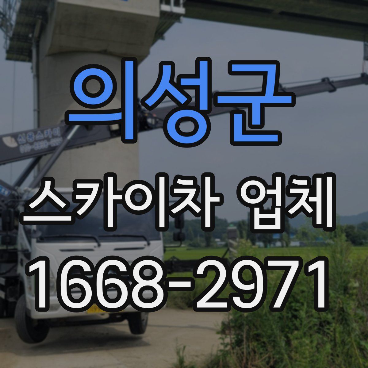의성군 스카이차 업체