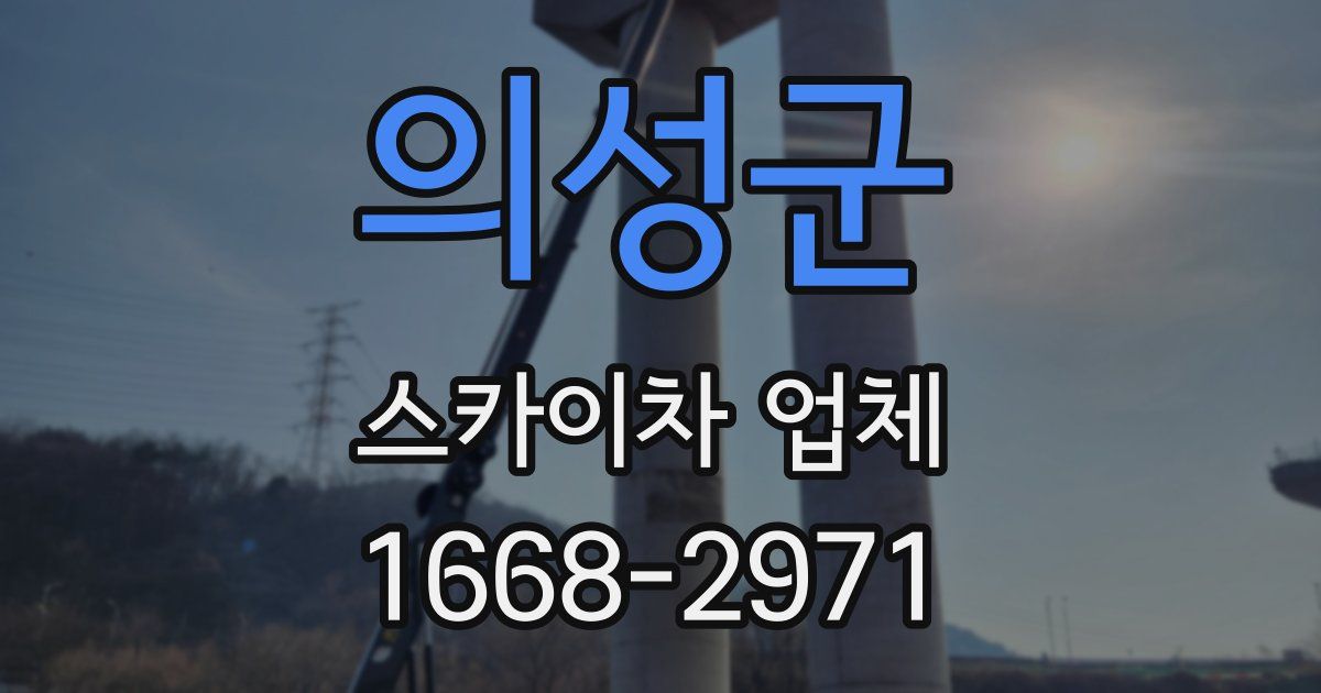의성군 스카이차 업체