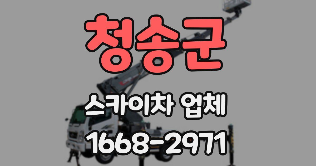 청송군 스카이차 업체