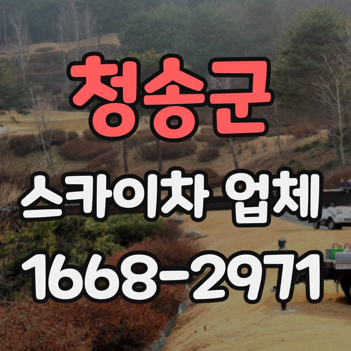 청송군 스카이차 업체