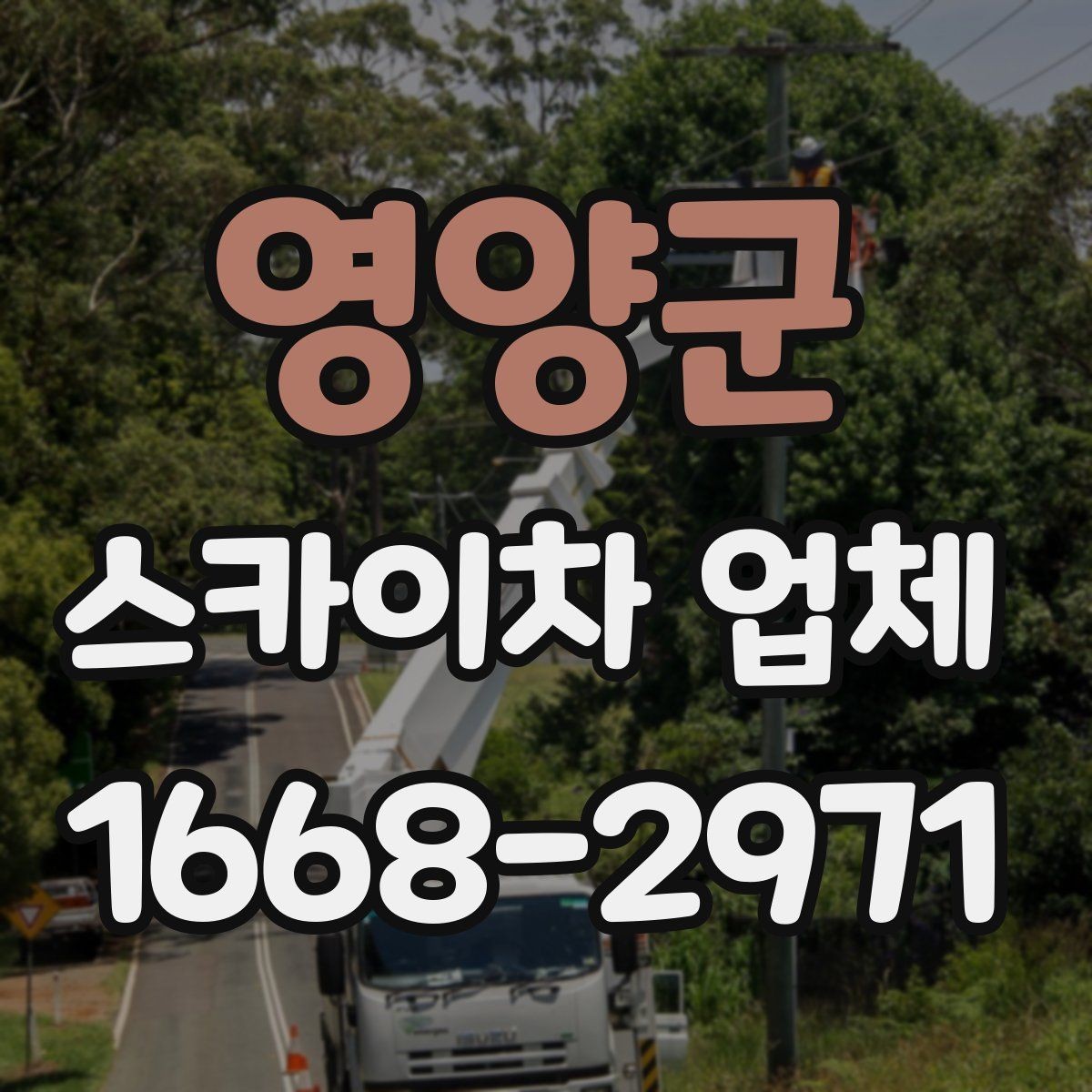 영양군 스카이차 업체 견적이 달라지는 이유