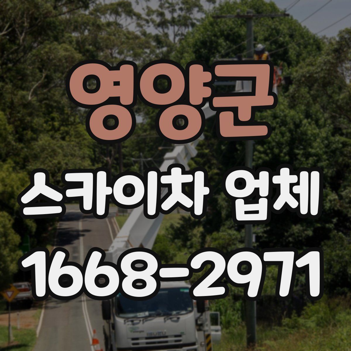 영양군 스카이차 업체