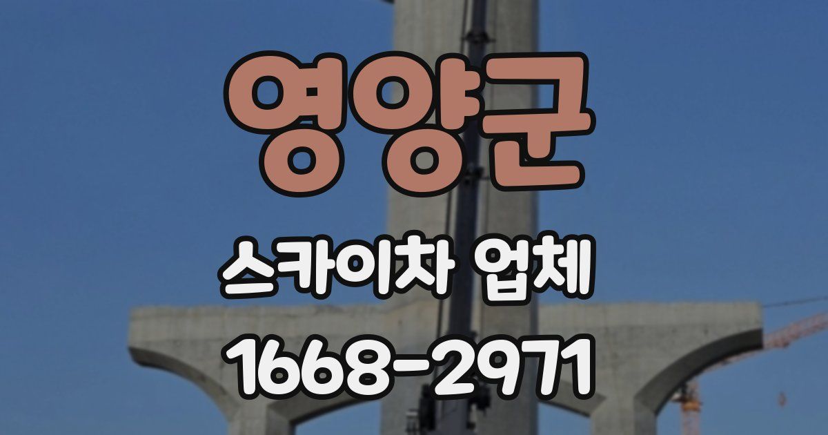 영양군 스카이차 업체