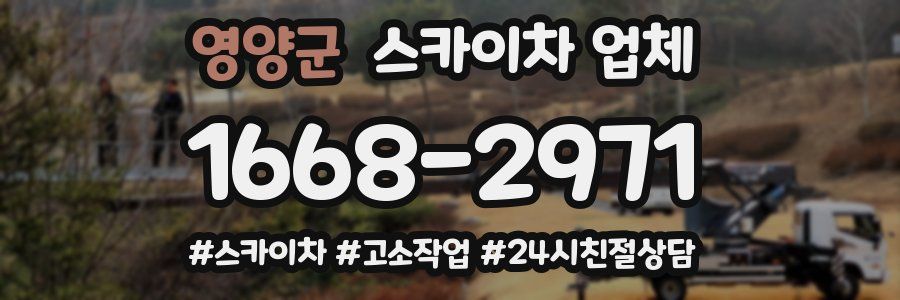 영양군 스카이차 업체