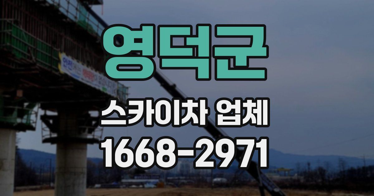 영덕군 스카이차 업체